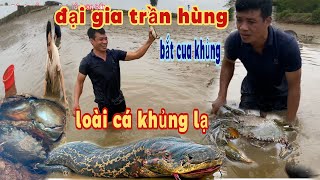 Đại gia xả đồng bắt tôm,cua,cá/The giant went out into the fields to catch shrimp, crabs, and fish