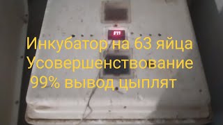 После такого усовершенствования инкубатор выдает 99% вывод цыплят