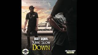 Busy Signal - Juvie Slow Down [Audio]