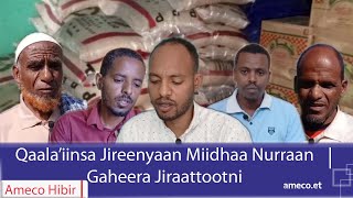 AMECO HIBIR: Qaala'iinsa Jireenyaan Miidhaa Nurraan Gaheera Jiraattootni 10/03/2017