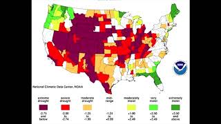 Possibility of a US famine?