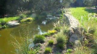 How to build a natural looking pond