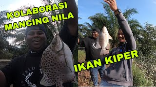 MANCING NILA BABON , KOLABORASI DENGAN YOUTUBER MANCING ANGLER GENDUD DAN FENGKI ROMARIO