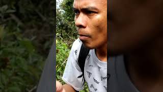 buah hutan ini punya rasa asem dn  sedikit pahit|yang tau namanya bisa komen di bawah #shorts