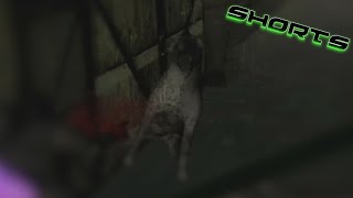 Zombie Dogs Doing WOMBO COMBOS On ME!!! - #Shorts