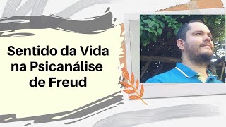 Sentido da vida em Freud | Psicanálise