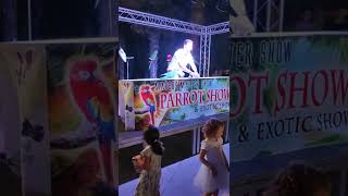 Papagei Show Part 1 für Kinder