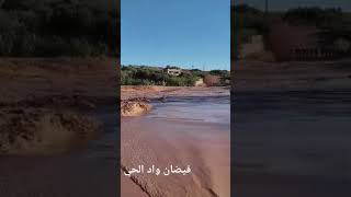 فيضانات واد الحي