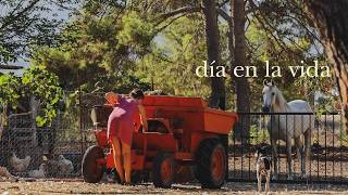 Un día cultivando nuestra comida - Compost, mermelada de higos y cosechas de la huerta