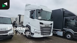 DAF XF 480 - 2023 - BAS World