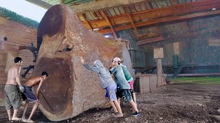 The wood of the gods is worth hundreds of millions ❗ Old Sawmill woodworking