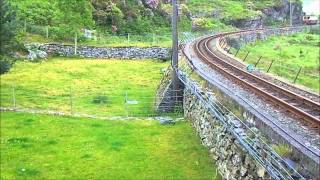 Ffestiniog Train and dog