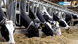 2020 Dairy Week Invitation (English)