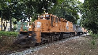 Tricotrol com locomotivas SD40 puxando vagões com contêineres/tarugo passando pelas próximo do KM803