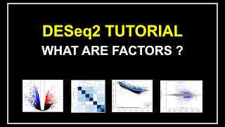 RNA Seq DeSeq2 Tutorial  | What are Factors