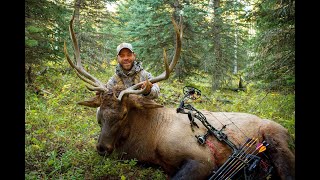 Archery Bull Elk Hunt - Southern Alberta Screaming Bulls