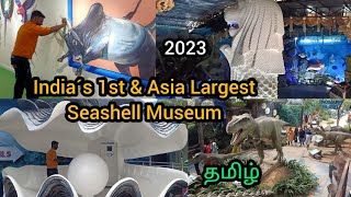 India Seashell Museum | 2023 | Chennai | ECR | #vlog #explore #travelvlog #ocean