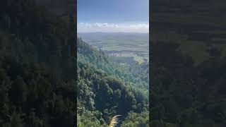 Summit of Wairere Falls 🇳🇿