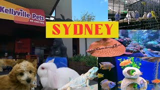 KELLYVILLE PETS Sydney | pet shop | Cats | Dogs | Rabbits | Fish | Reptiles, Full Video Coming Soon