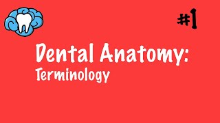 Dental Anatomy | Terminology | INBDE