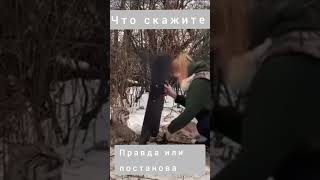 Свободу Барсику!!