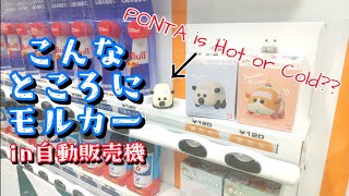 【PUI PUI Molcar】自販機でポンタを買いました/soda machine in Molcar【コロコロフレンズ3】