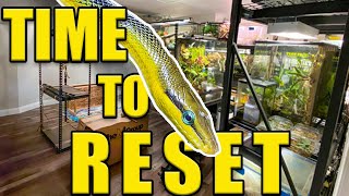 REPTILE ROOM UPGRADES + PLANS!! | SNAKES, FROGS + MORE!