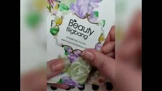 Review of Beautybigbangs stampingplate XL-001