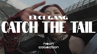 luci gang - catch the tail (official music video) | neon collection