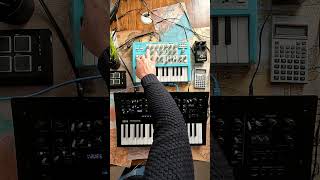 Korg Minilogue XD + Arturia Microbrute SE analog synth jam