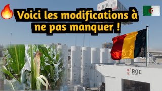 Algérie : ROC Oil s’installe après l'acquisition des actions suédoises de Tethys Oil