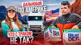 89 Новый рейс ПРОБЛЕМЫ С DEF-системой? Рейс через всю Америку РАБОТА НА АМАЗОН Двое в дальнобое