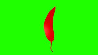 Chili Pepper Green Screen 🌶️