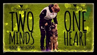 Two Minds One Heart Dog Sport Inspiration Motivation Video WUSV 2017 Compilation