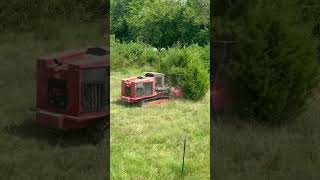 Forestry mulcher taking on a tree. #youtubeshorts