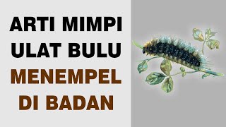 Arti Mimpi Ulat Bulu Menempel di Badan