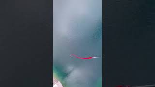 Sending 200 feet bungee