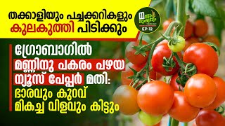 മട്ടുപ്പാവിലെ മണ്ണില്ലാകൃഷി: തക്കാളിയും പച്ചക്കറികളും കുലകുത്തി പിടിക്കും, Soil-less terrace farming