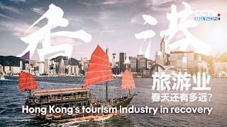 HongKong's #tourism industry is recovering ｜香港旅游业的春天还有多远？！