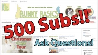 We made it!! | 500 Sub Q&A - CLOSED