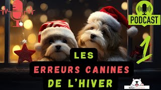 Les erreurs avec son chien en hiver - Episode 1