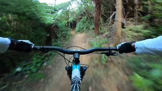 Lower Starfish Grade 4 - Need More Speed - Before Race Justin TruDuro Wellington Enduro Series 2022