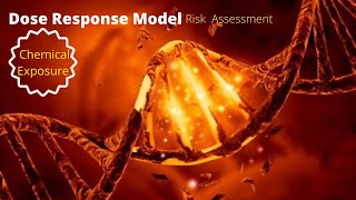 🧬⚗️🧪Chemical Exposure Risk Assessment With Dose response Model |WHS | Dose response Model explained