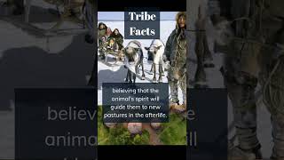 Tribes facts #shorts #tribes #facts