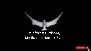 Rainforest Birdsong meditation music - Natures Eye Relaxing music