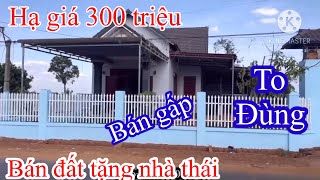 Hạ giá 300 triệu bán gấp nhà thái ngay trung tâm tiện ích thích hợp buôn bán đầu tư