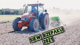 🌱 Siew rzepaku 2021 🔥 Famarol w akcji