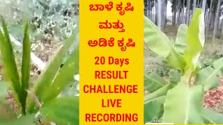 20 Days Result Challenge ARECANUT Farming ಸಾವಯವ ಕೃಷಿ Organic farming