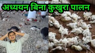 कुखुरा पालन गर्नुअघि यति कुराको जानकारी हुन एकदमै आवश्यक छ। #poultry farming #santosh_adhikari#