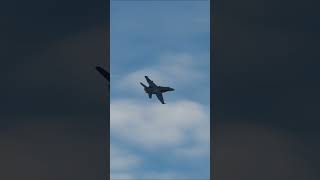 EPIC  F18 PILOT SUPER FAST FLYOVER!! #f18 #dcs #shorts #milsim #gaming